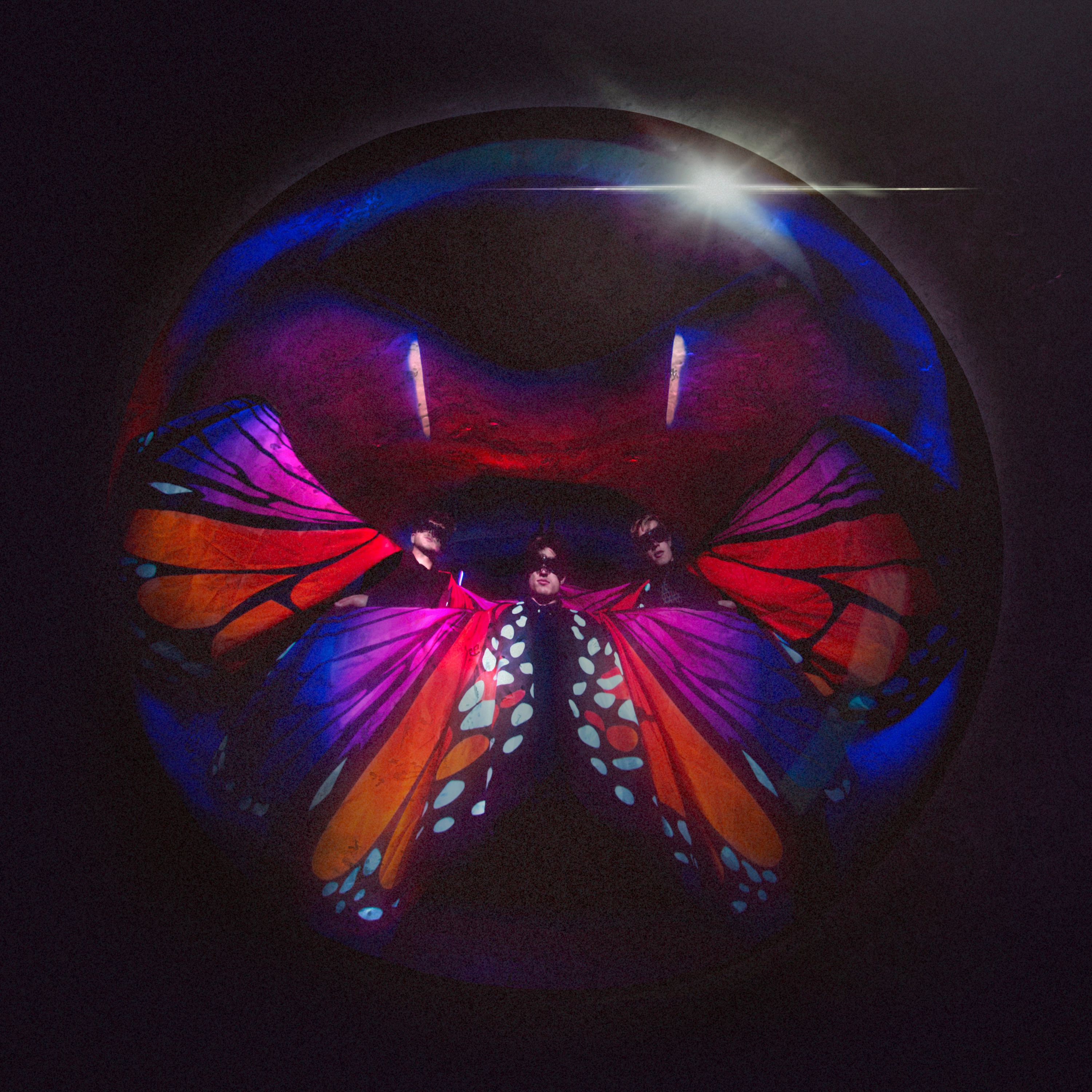 Social Butterflies